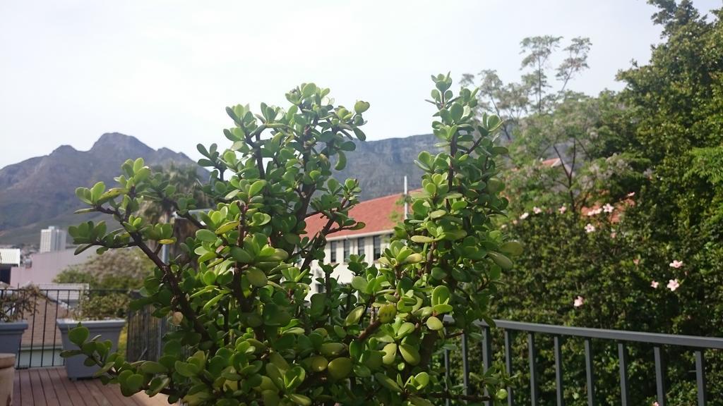 The Parkhouse Hotel Cape Town Ruang foto